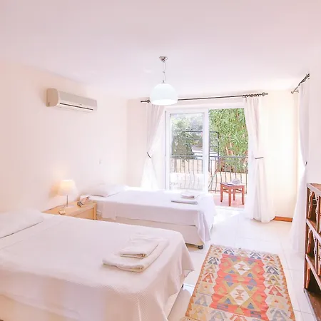 Zeytin Agaci, Peninsula *